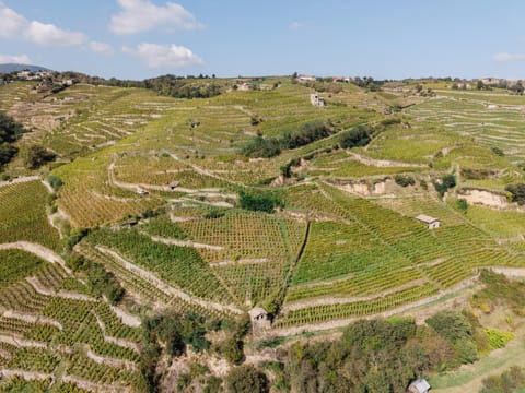 Natural landscape, Activities