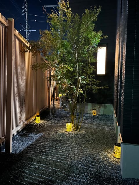 Night, Garden, Garden view