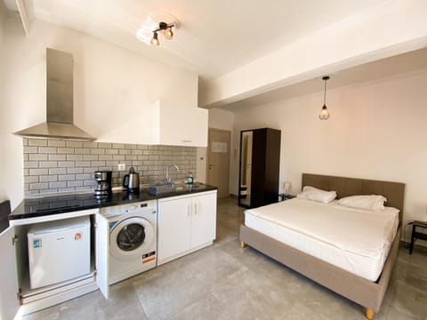 Bed, Coffee/tea facilities, Kitchen or kitchenette, Photo of the whole room, washing machine