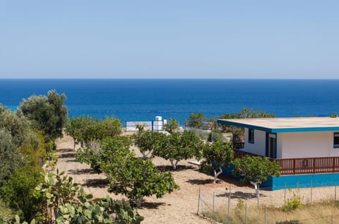 Property building, Natural landscape