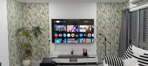 TV and multimedia
