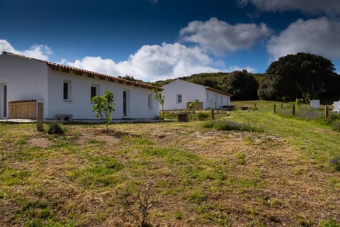 Property building, Day, Garden, Garden, Garden view