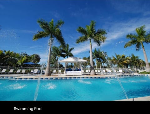 Swimming pool, Swimming pool