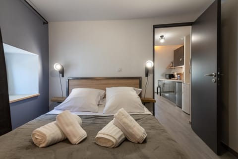 Le Loft Saint Cyrice Apartment in Auvergne-Rhône-Alpes