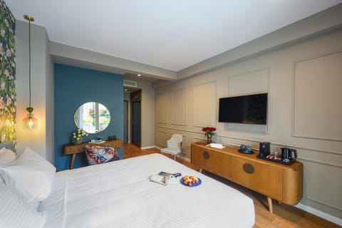 TV and multimedia, Photo of the whole room, Bedroom