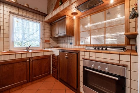 Kitchen or kitchenette, dishwasher, stove