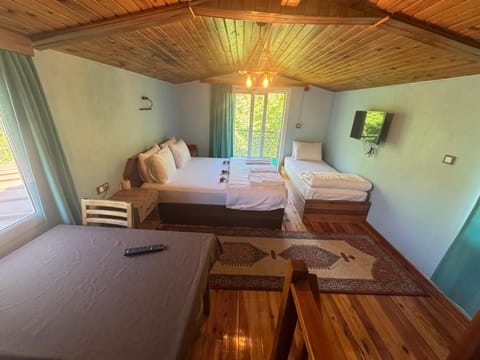 Ahsen pansiyon Vacation rental in Aydın Province