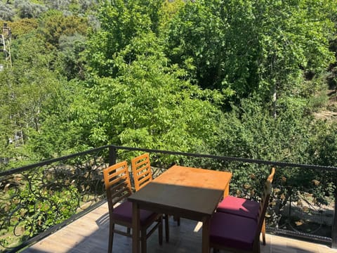 Ahsen pansiyon Vacation rental in Aydın Province