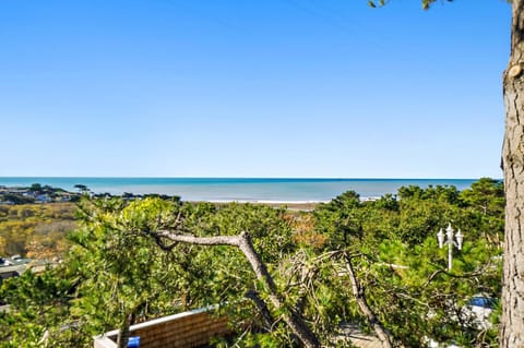 Driftwood Bungalow Ocean View Monthly Only House in Cambria