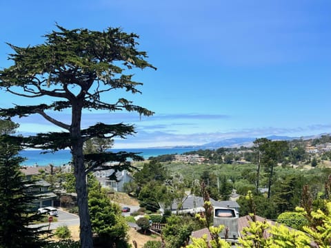 The Surly Mermaid-Ocean View Monthly-Spring Special Mar thru May House in Cambria