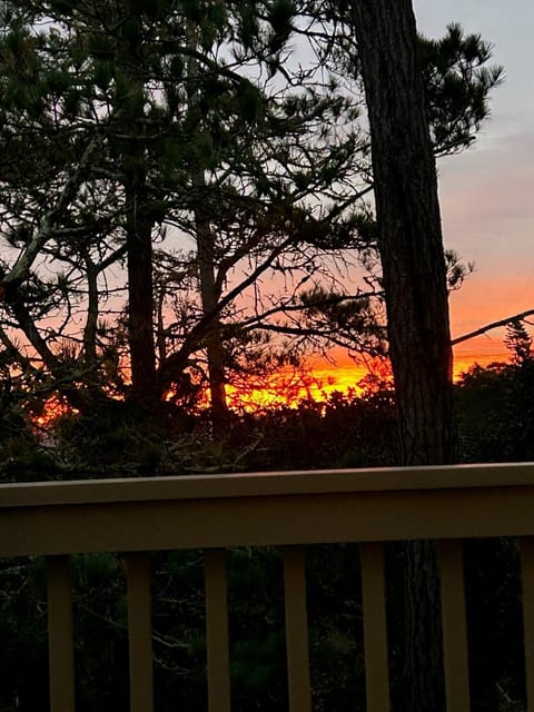 Top of the world - Monthly-Spring Special Mar thru May House in Cambria