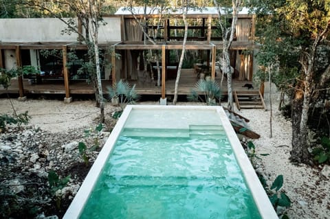 Garden, Pool view