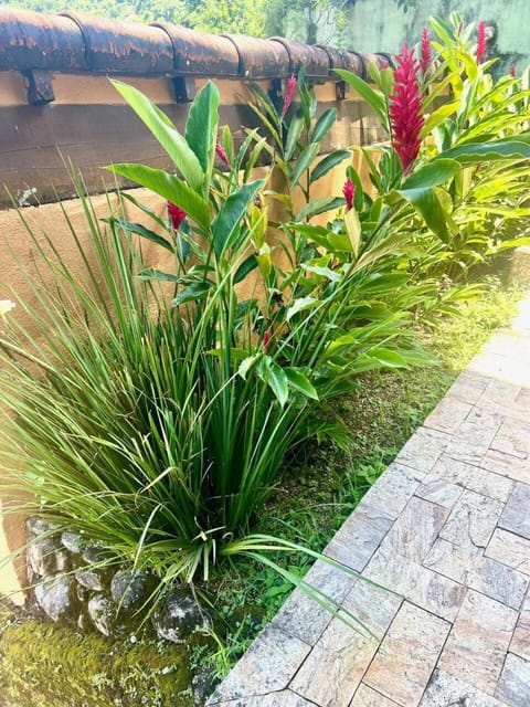 Vista dos sonhos na beira do mar de Angra com pier House in Angra dos Reis