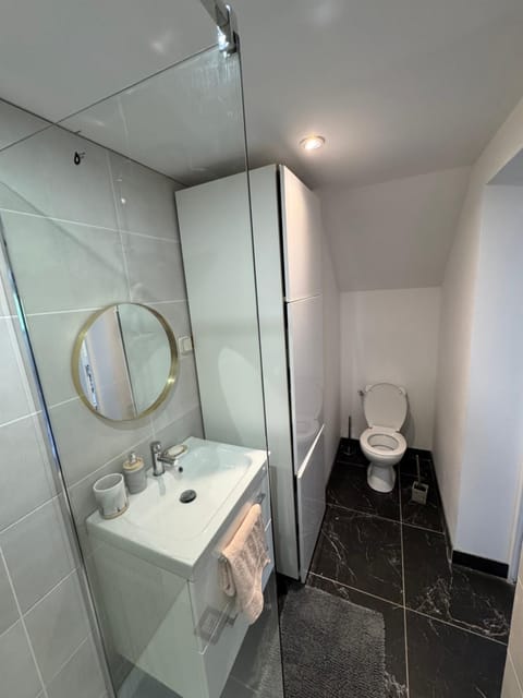 Shower, Toilet, towels