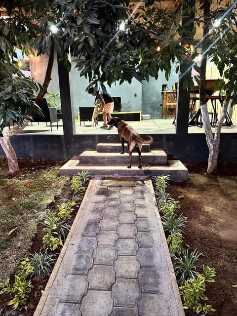 Bosque escondido House in State of Mexico