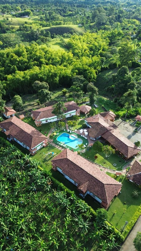 Natural landscape, Bird's eye view