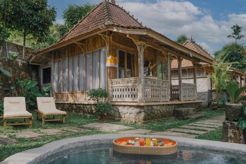 Property building, Day, Natural landscape, Garden, Food and drinks, Food, Pool view, Swimming pool, sunbed