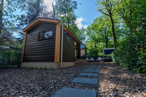 Property building, Spring, Day, Garden, Garden view