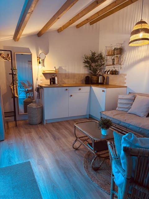 Kitchen or kitchenette, Living room, Seating area