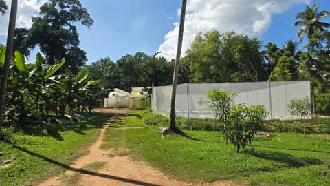 Garden, Garden view