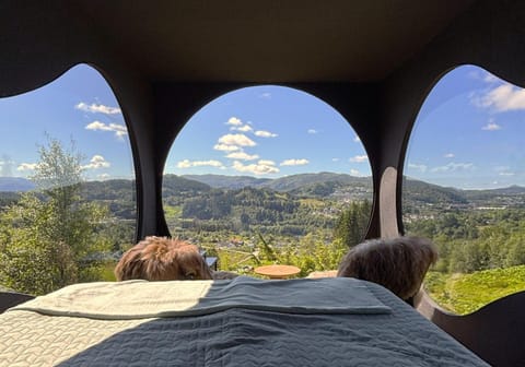 View (from property/room)