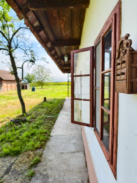Property building, Garden, Garden, Garden view
