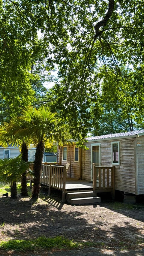 Patio, Garden view