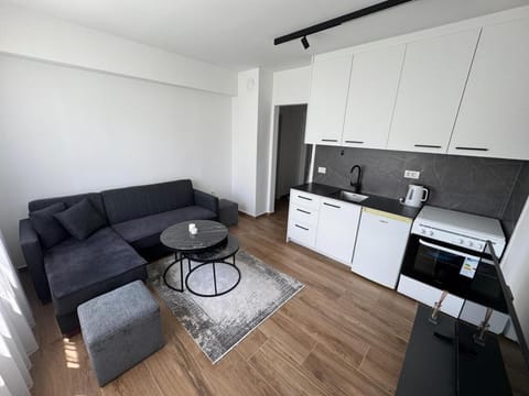 Coffee/tea facilities, Kitchen or kitchenette, Living room, Seating area