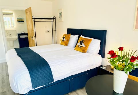 Tree View Studio Nature lodge in Ballycastle