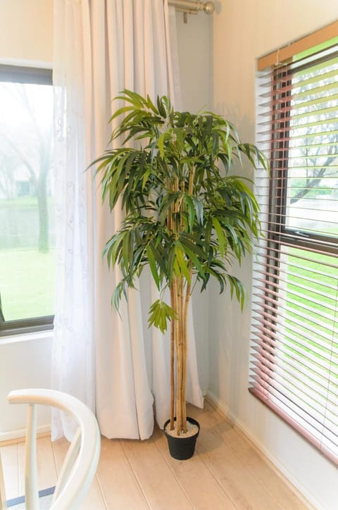 Charming Self-catering Apartment Apartment in Cape Town