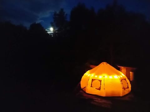 Night, View (from property/room)