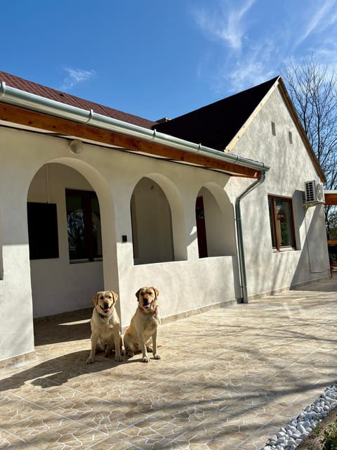 Property building, Pets