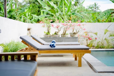 Patio, Spring, Day, Garden, Balcony/Terrace, Garden view, Pool view, Swimming pool, sunbed