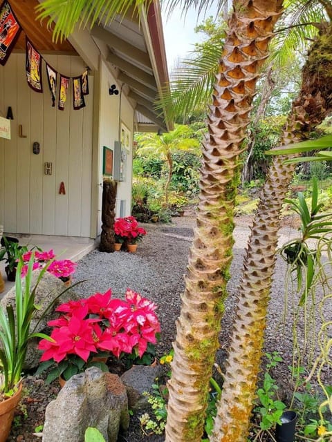 The Alala at Stained Glass Cottages Bed and Breakfast in Volcano