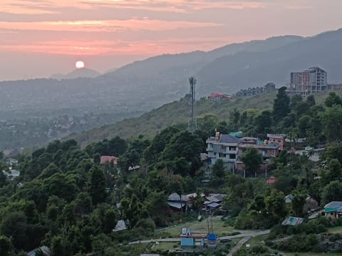 Property view