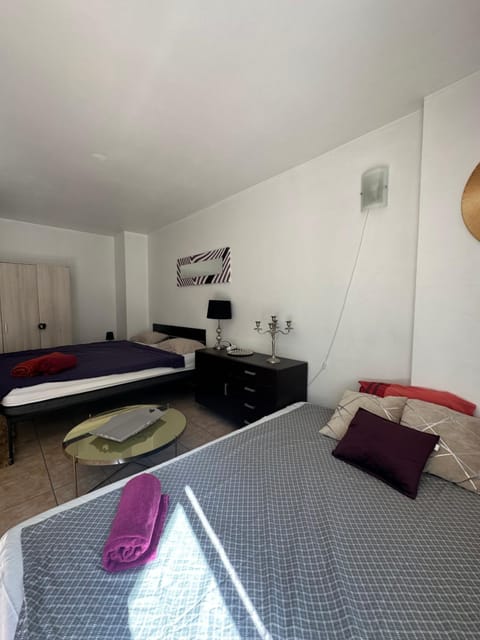 Cute studio Beausoleil 10 steps to Monaco Apartment in Monaco