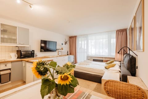 Bed, TV and multimedia, Kitchen or kitchenette, Living room, Photo of the whole room, Seating area, Dining area
