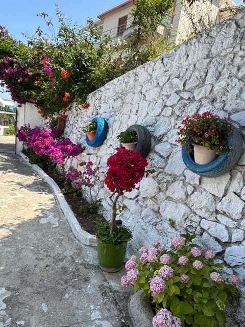 Spring, Day, Garden, Garden view