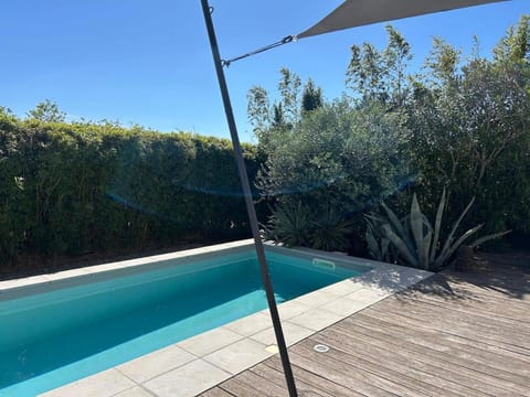 Garden, Pool view, Swimming pool, sunbed