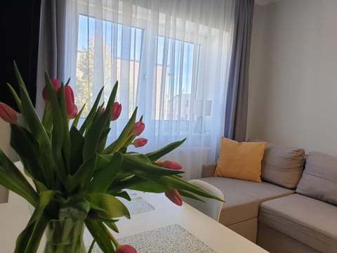Suite Sandra Apartament Apartment in Leba
