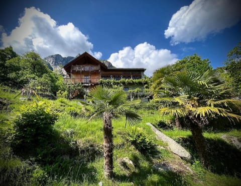 Property view