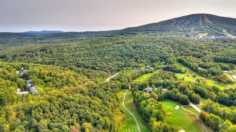 Stratton Mountain Condo with a Hot Tub! Sleeps 12! Apartment hotel in Winhall