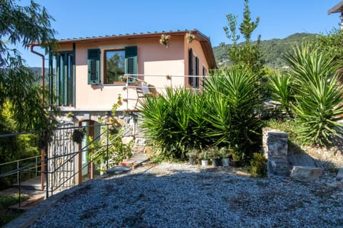 Property building, Garden view