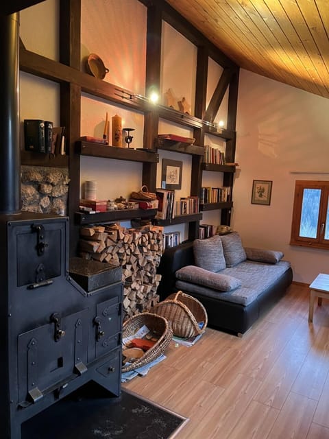 Angelina Apartment in Canton of Grisons