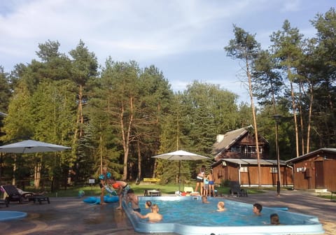 People, Natural landscape, Garden, Pool view, Swimming pool
