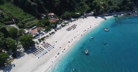 Bird's eye view, Beach, Sea view