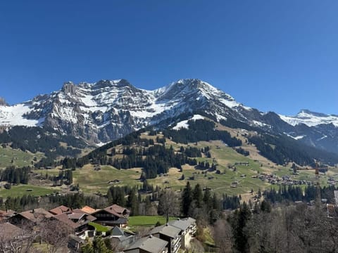 Zentrumsnahe Wohnung mit Blick Apartment in Adelboden