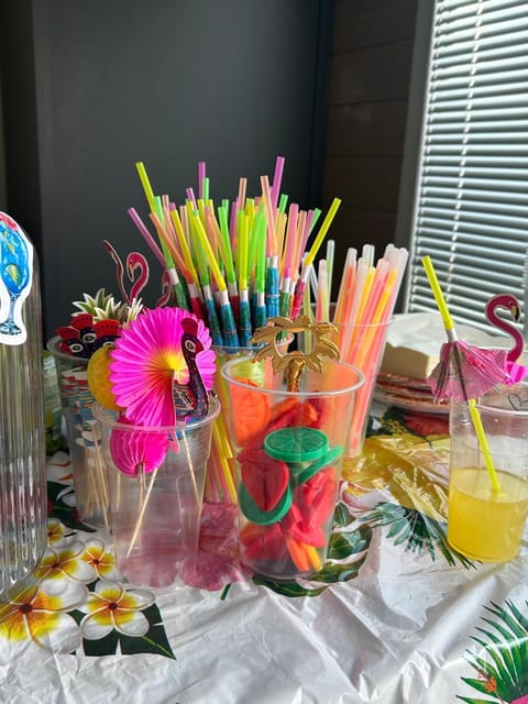 Splav na Savi - House on the river Docked boat in Vojvodina