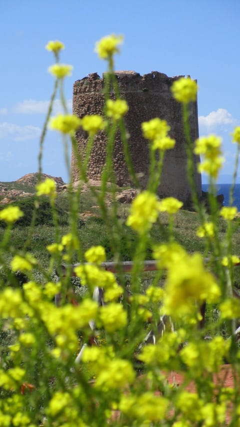 Spring, Natural landscape, Landmark view