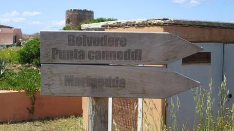 Day, Natural landscape